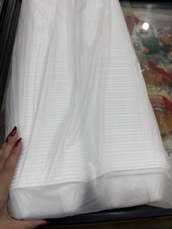 HAMBURGUEIRA BOM APETITE BHF-02 FUNDA C/100